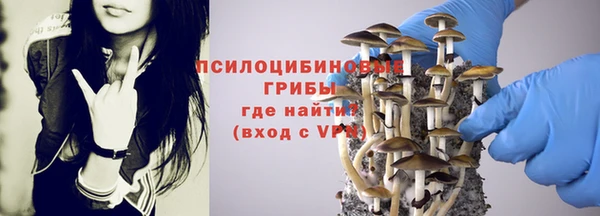 тгк Новодвинск