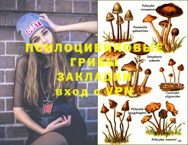 тгк Новодвинск