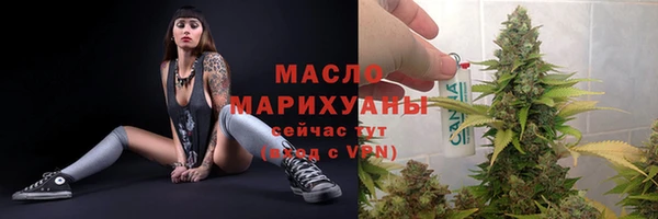 тгк Новодвинск
