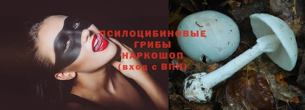 мдпв Лабытнанги