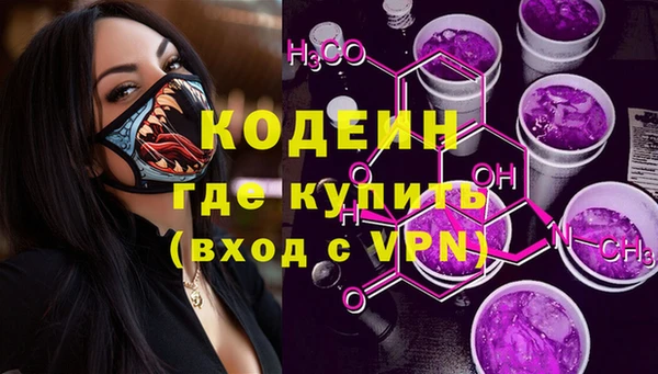 мдпв Лабытнанги