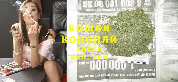 эйфоретик Ладушкин
