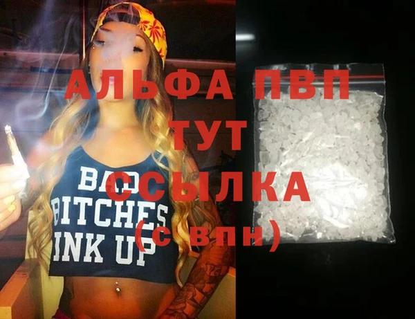 тгк Новодвинск