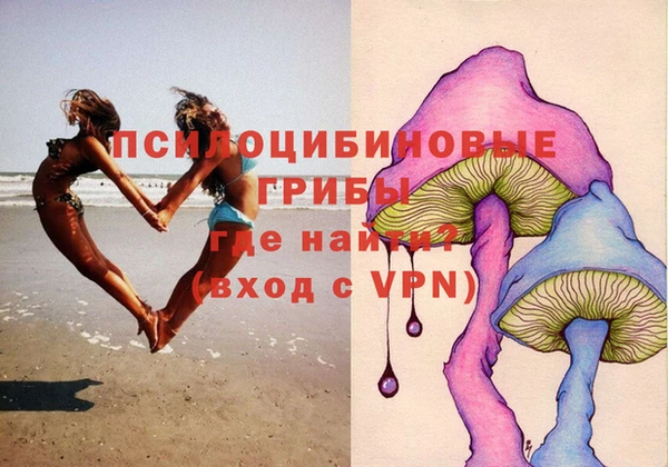 гидропоника Новокубанск