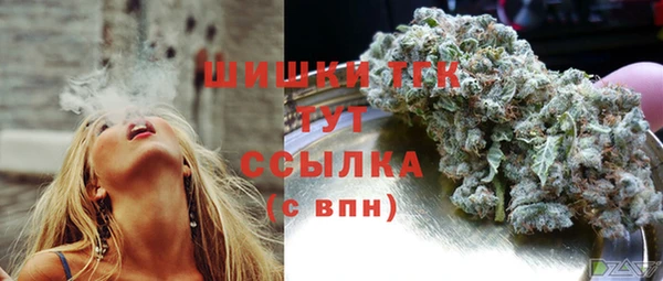 каннабис Новозыбков