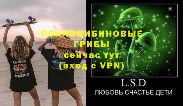 каннабис Новозыбков