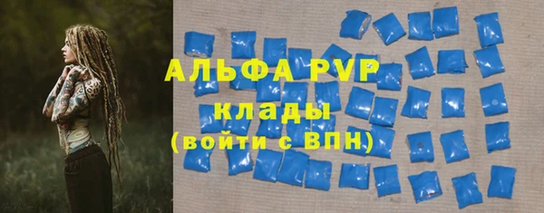 тгк Новодвинск